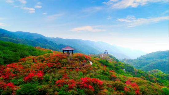 g1682高鐵途經站點